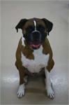 daycare pic 76 - winston